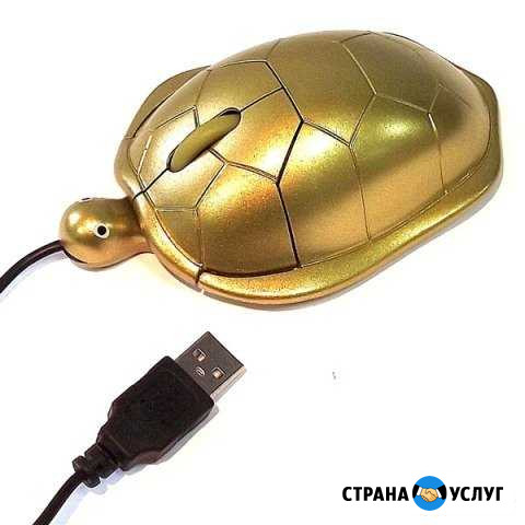 Профессиональная поддержка в IT Ступино - изображение 1