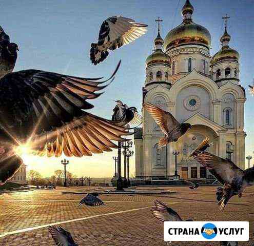 Квартира, с отсрочкой платежа до 10 лет Краснодар