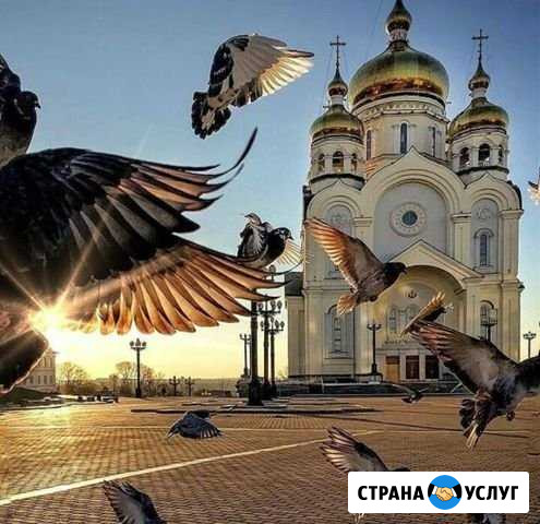 Квартира, с отсрочкой платежа до 10 лет Краснодар - изображение 1