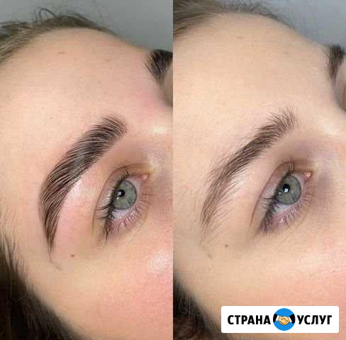 Бровист Астрахань - изображение 1