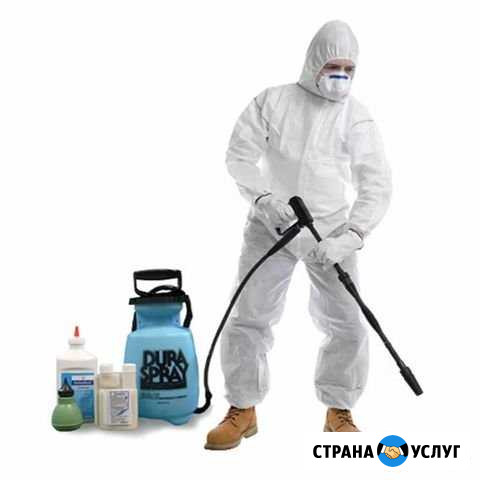 Дезинфекция дезинсекция Иваново - изображение 1