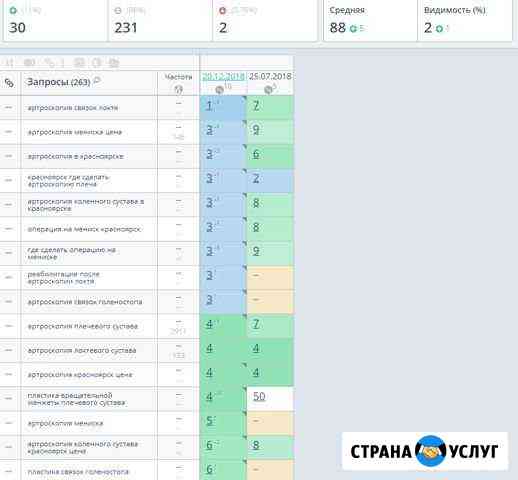 Продвижение сайта, SEO оптимизация в Новосибирске Новосибирск