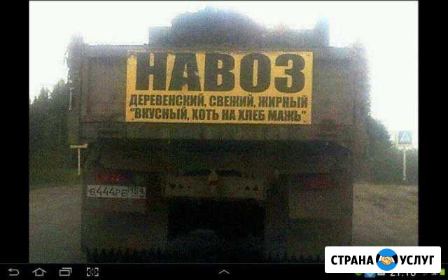 Навоз, опилки,песок,земля Северодвинск - изображение 1