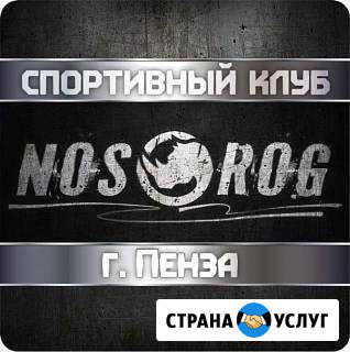 Смешанные единоборства (мма) Пенза - изображение 1