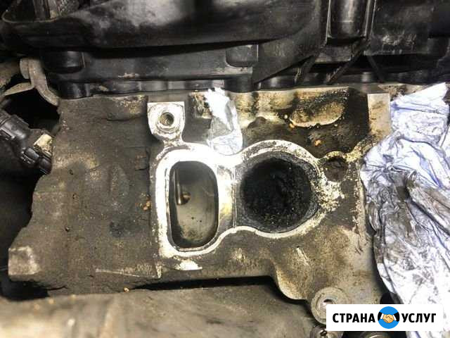 Чистка грецким орехом BMW N47 b47 N57 b57 Москва - изображение 1