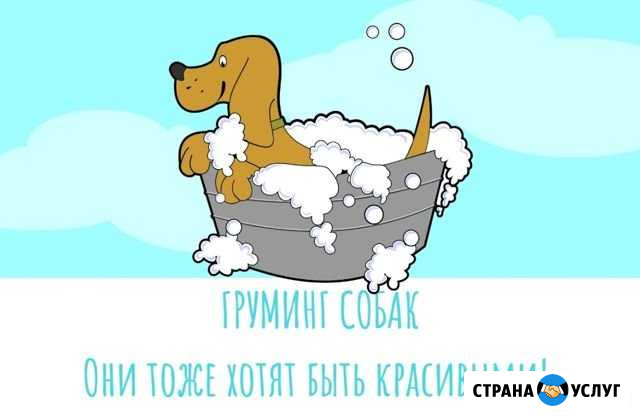 Груминг собак Добрунь - изображение 1