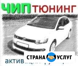 Увеличение мощности Skoda Rapid, VW Polo Нижний Новгород - изображение 1