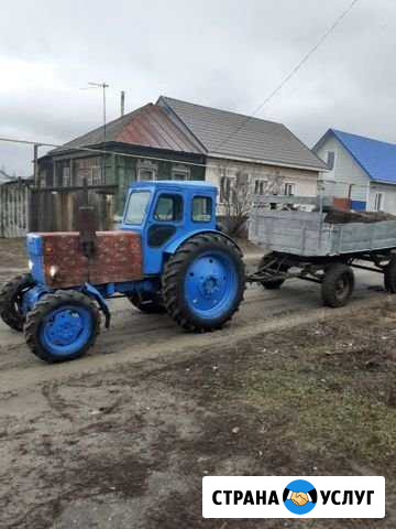 Вывоз мусора Борисоглебск - изображение 1
