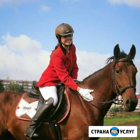 Обучение Иркутск - изображение 1