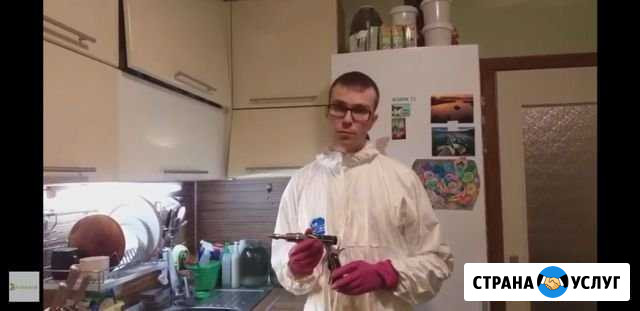 Клопов тараканов насекомых уничтожение. Быстро Ярославль - изображение 1