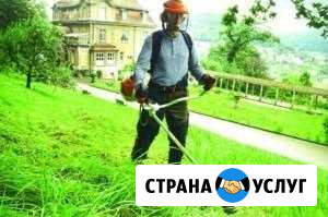 Скос травы Волгореченск - изображение 1