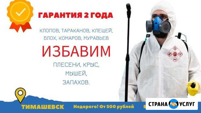 Уничтожение тараканов, клопов, клещей, грызунов Тимашевск - изображение 1