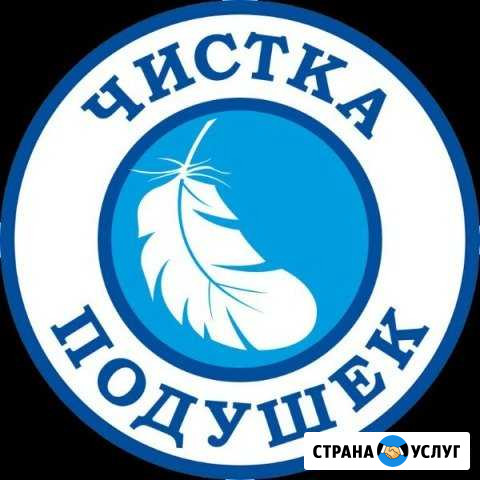 Чистка - реставрация подушек Кузнецк - изображение 1