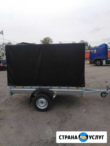 Сдам в аренду прицеп(легковой) Санкт-Петербург - изображение 1
