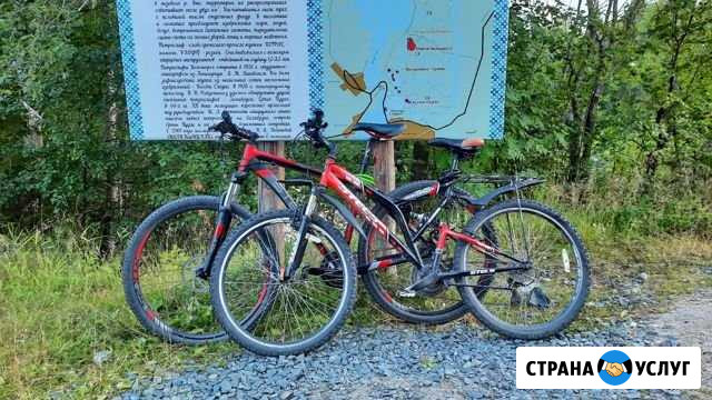 Аренда велосипеда Беломорск - изображение 1