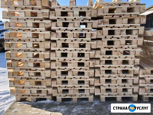 Поддоны Линда - изображение 1