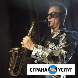 DJ + Саксофонист Саратов - изображение 1