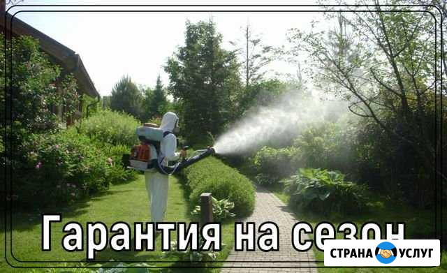 Обработка участка от клещей, кротов, борщевика, ос Старая Купавна - изображение 1