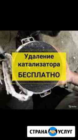 Бесплатное удаления катализатора Нижний Новгород