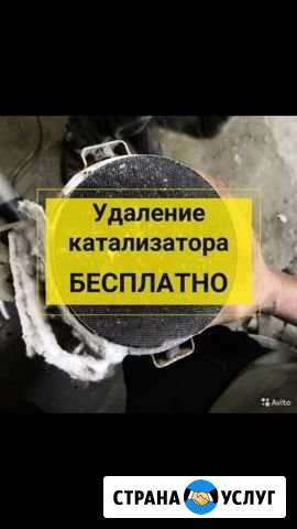 Бесплатное удаления катализатора Нижний Новгород - изображение 1