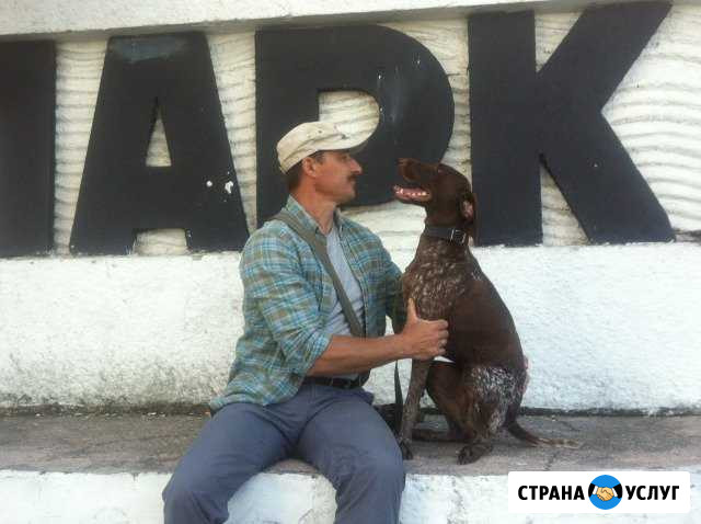 Дрессировка, консультации кинолога Аксай - изображение 1