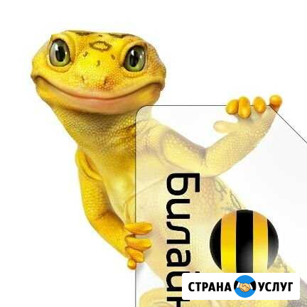 Интернет и тв Омск - изображение 1
