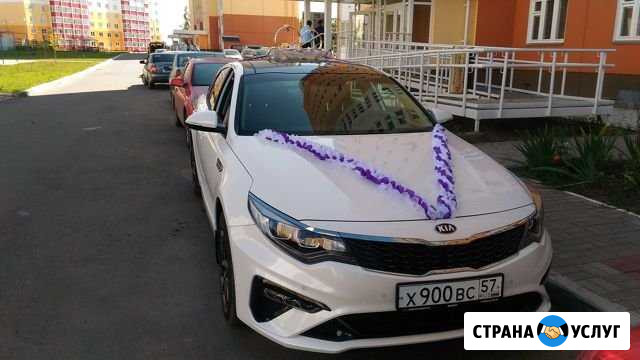 Аренда авто с водителем Орёл - изображение 1