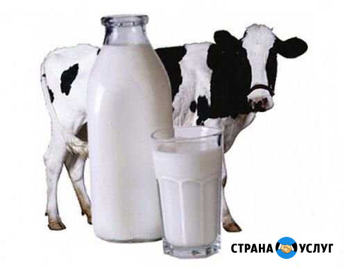 Молоко коровье Азов - изображение 1