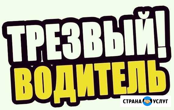 Трезвый водитель Ростов-на-Дону - изображение 1