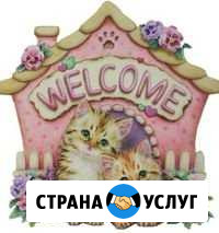 Передержка животных Петропавловск-Камчатский - изображение 1