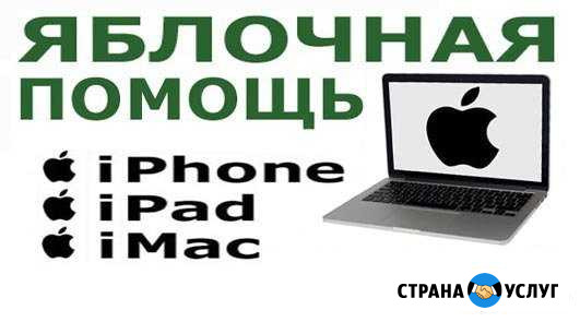 Яблочная помощь Барнаул - изображение 1