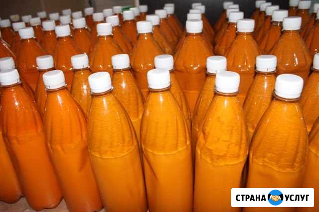 Сок облепиховый концентрированный Горно-Алтайск - изображение 1