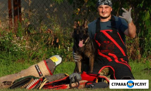 Дрессировка собак всех пород Ессентукская - изображение 1