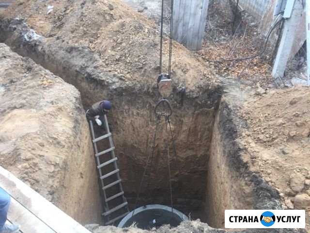 Спил деревьев. Демонтаж Оренбург - изображение 1