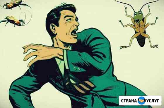 Уничтожение насекомых грызунов Ростов-на-Дону