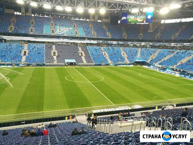 Покос травы,стрижка газона,спил деревьев и кустов Токсово - изображение 1