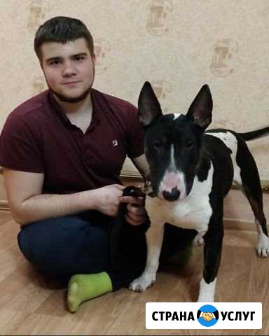 Передержка собак Новосибирск - изображение 1