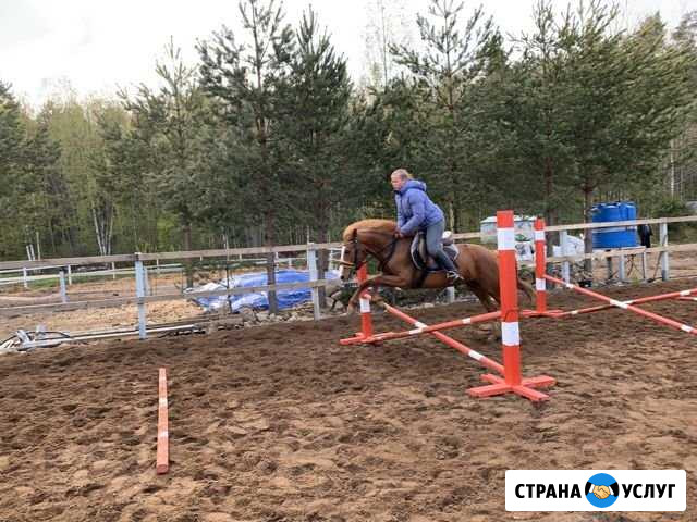 Школа верховой езды Сосновый Бор Сосновый Бор - изображение 1