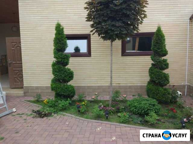 Ландшафтный дизайн. Озеленение Грозный - изображение 1