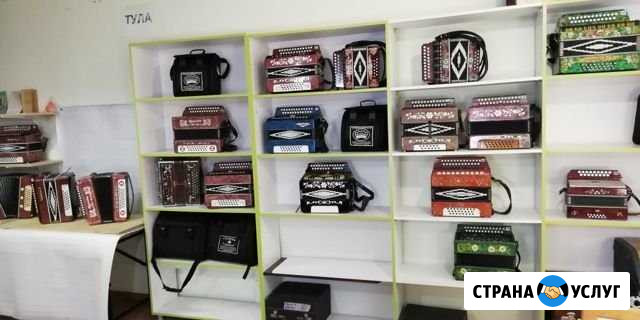 Ремонт и настройка гармони Ростов-на-Дону - изображение 1