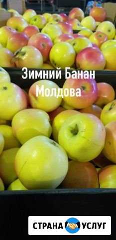 Доставка яблоки Ярославль - изображение 1
