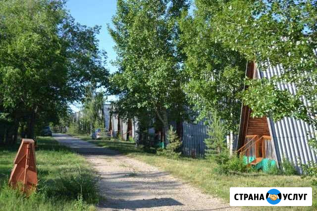 Отдых на турбазе Волга Саратов Пенза - изображение 1