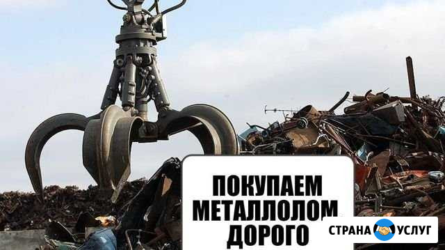 Металлолом. Вывоз металлолома Моршанск - изображение 1