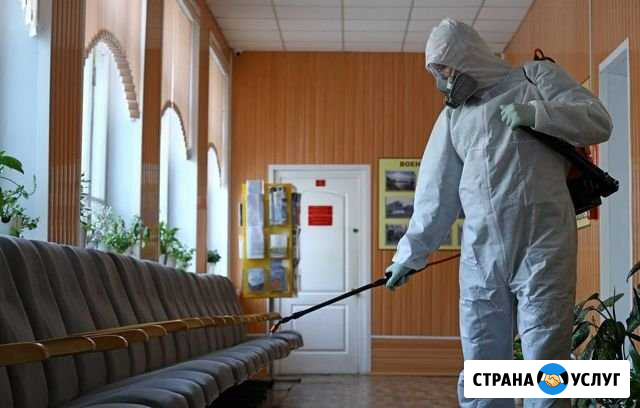 Дезинфекция офисов и квартир Челябинск - изображение 1