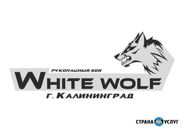 Клуб рукопашного боя White Wolf Калининград - изображение 1