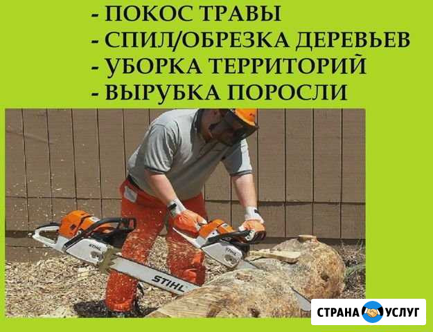 Покос травы Старая Русса - изображение 1