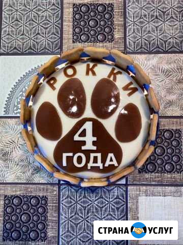 Торты для собак и кошек Красноярск - изображение 1