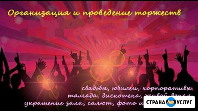 Выездная регистрация,Свадьба,Юбилей,проектор,салют Луховицы - изображение 1
