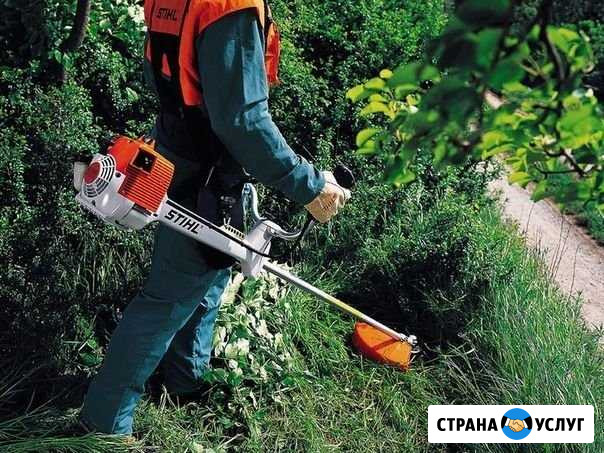Покос травы и камыша. вывоз Астрахань - изображение 1