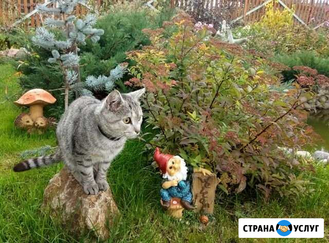 Проектирование.Ландшафтный дизайн.Услуги садовника Новосибирск - изображение 1